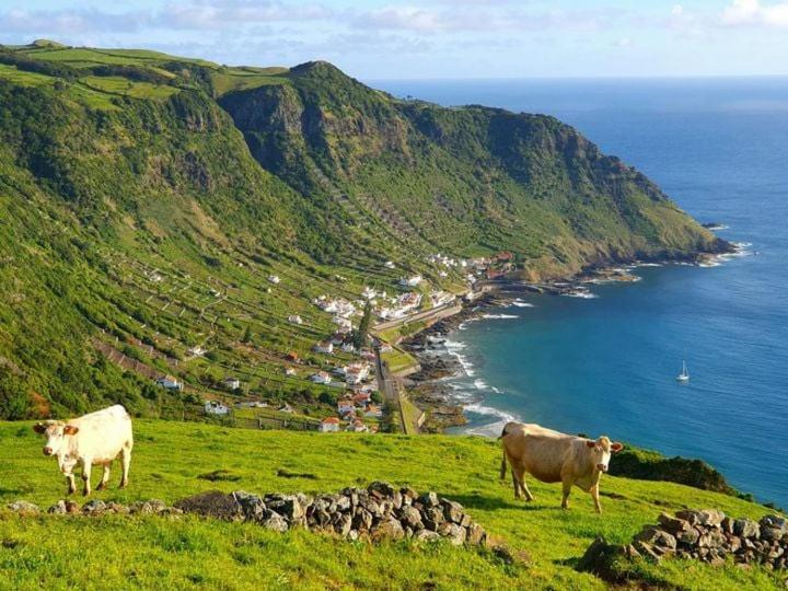 Azor International House Villa Ponta Delgada  Bagian luar foto